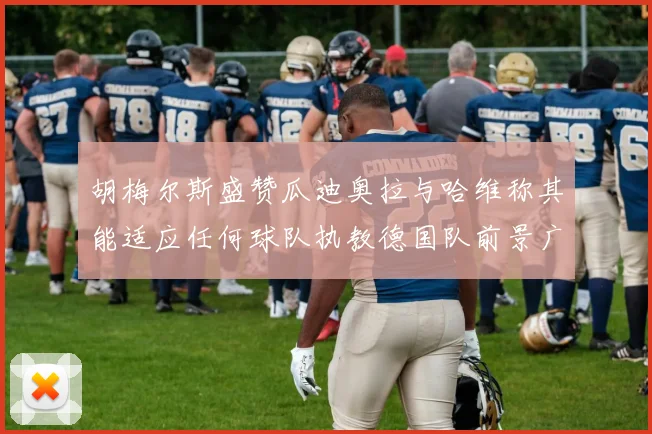 胡梅尔斯盛赞瓜迪奥拉与哈维称其能适应任何球队执教德国队前景广阔